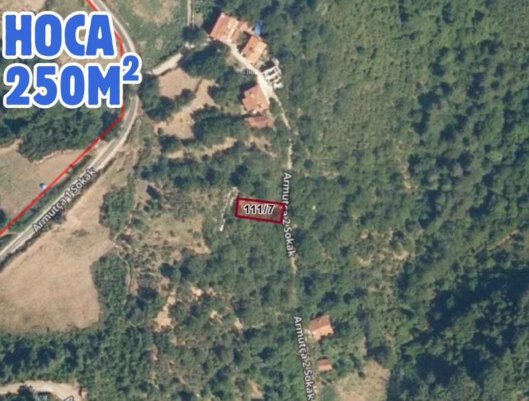 Fotoğraf
